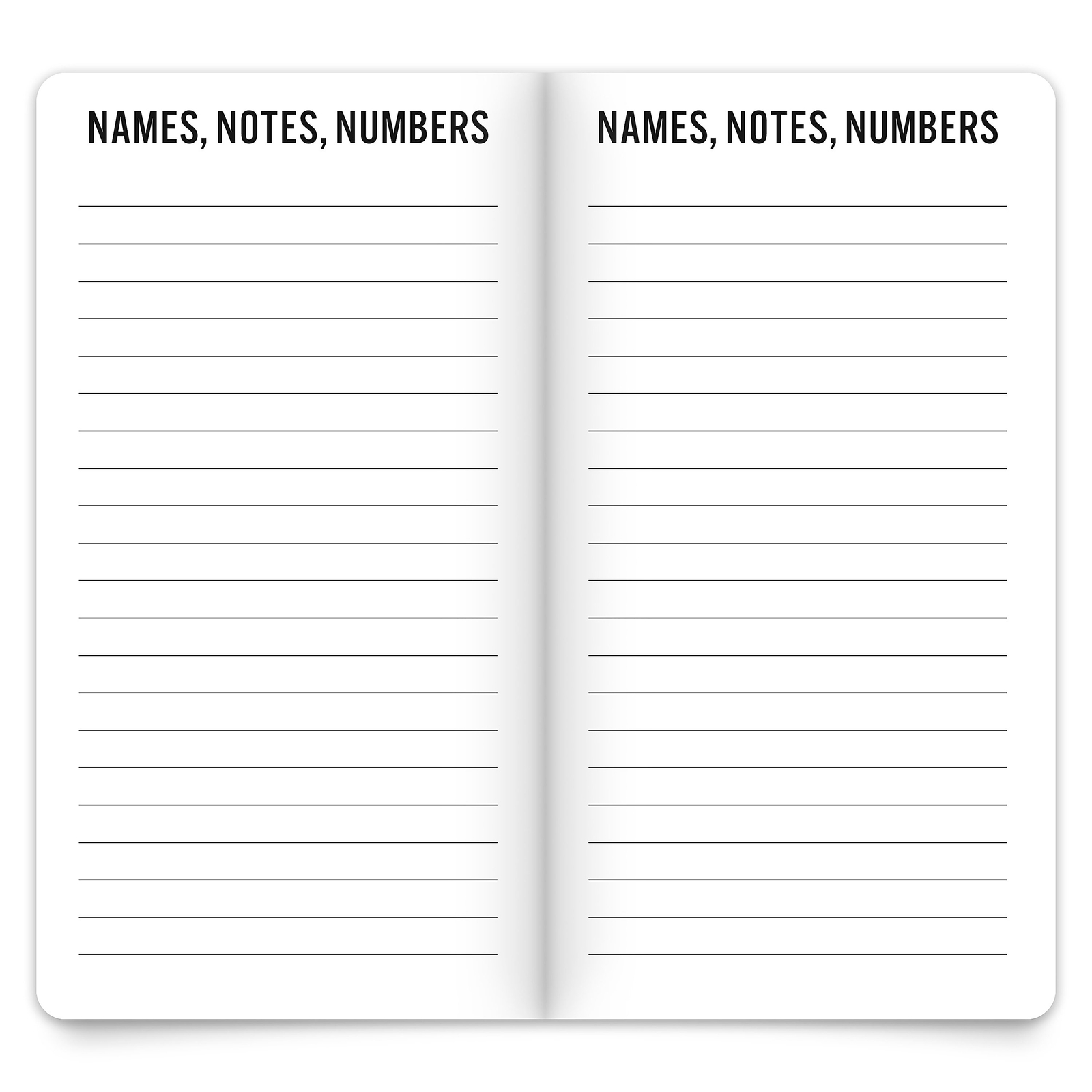 Brown Trout 2-Year Big & Bright Monthly Pocket Planner, 3-1/2” x 6-1/2”