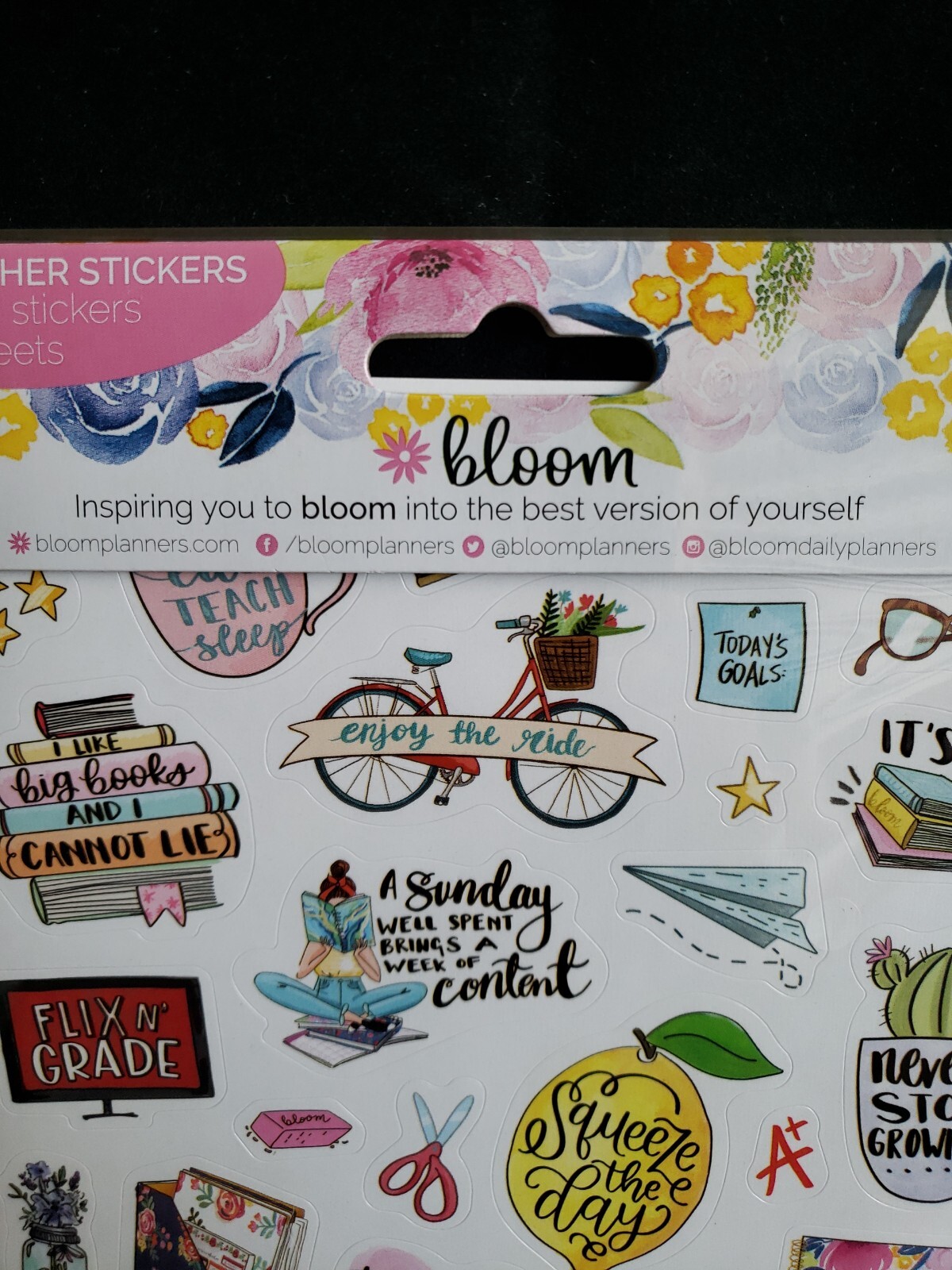 Bloom Daily Planner Teacher Sticker Pack 6 Sheets 430+ Stickers Weekly Monthly