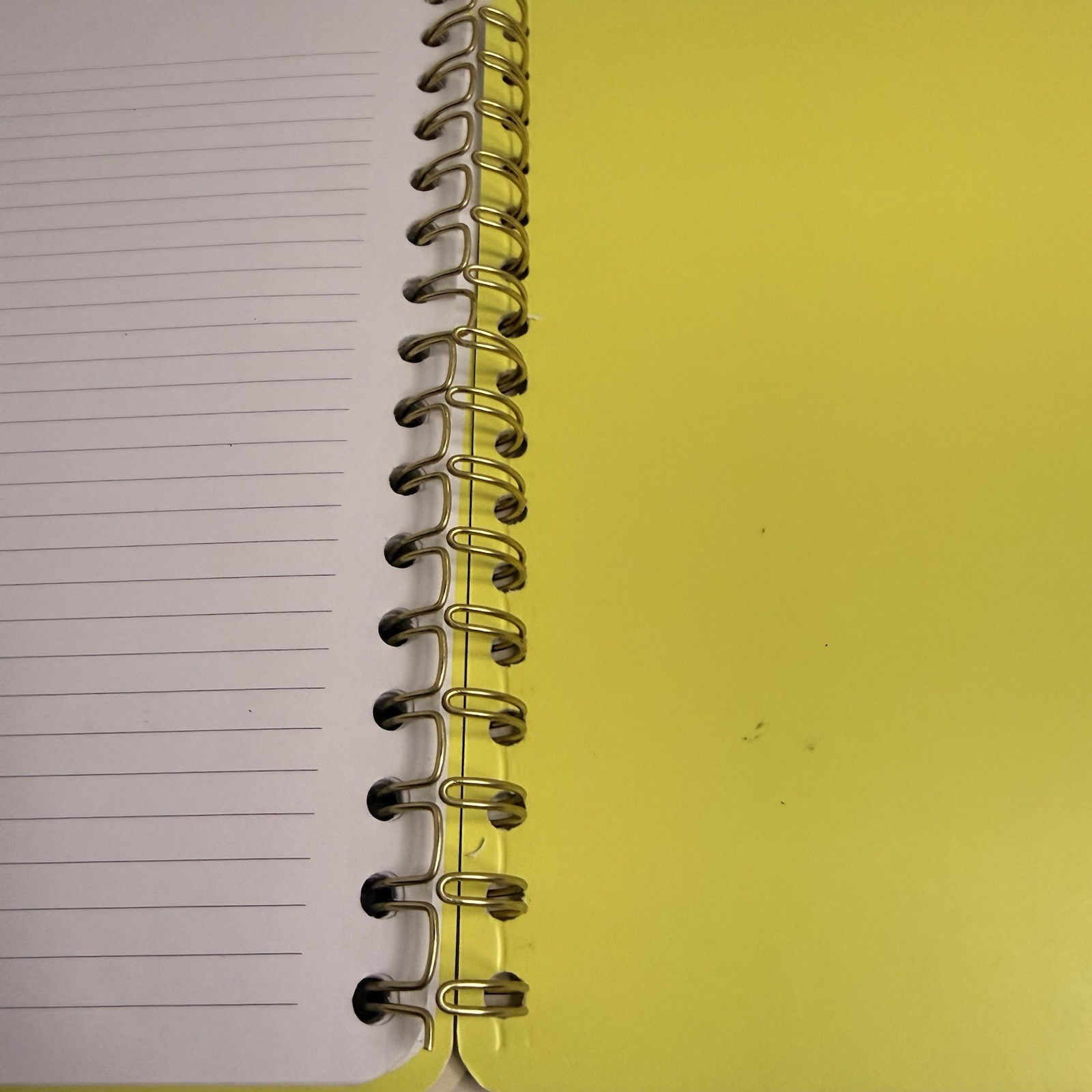 Be Rooted “I Am The Blueprint” Spiral Journal 5.5×8.5 New 240 Pages