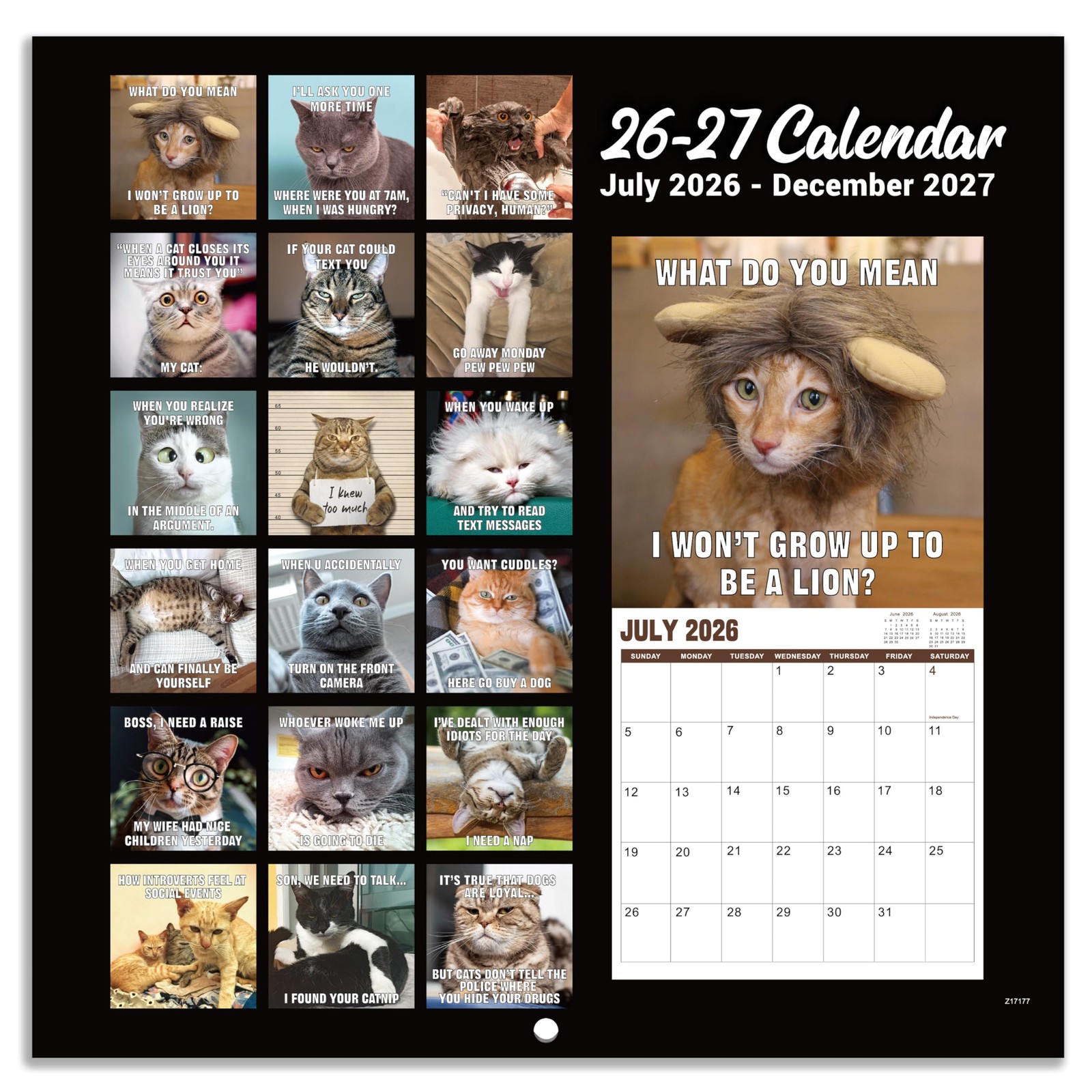 2026-2027 Wall Calendar – July 2026 – December 2027, Funny 12″ x 24″, Brown