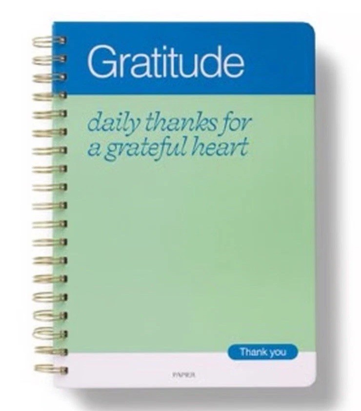 Papier Guided Gratitude Journal – Blue Green Wellness Notebook 9.8”x7.4” 192 Pgs