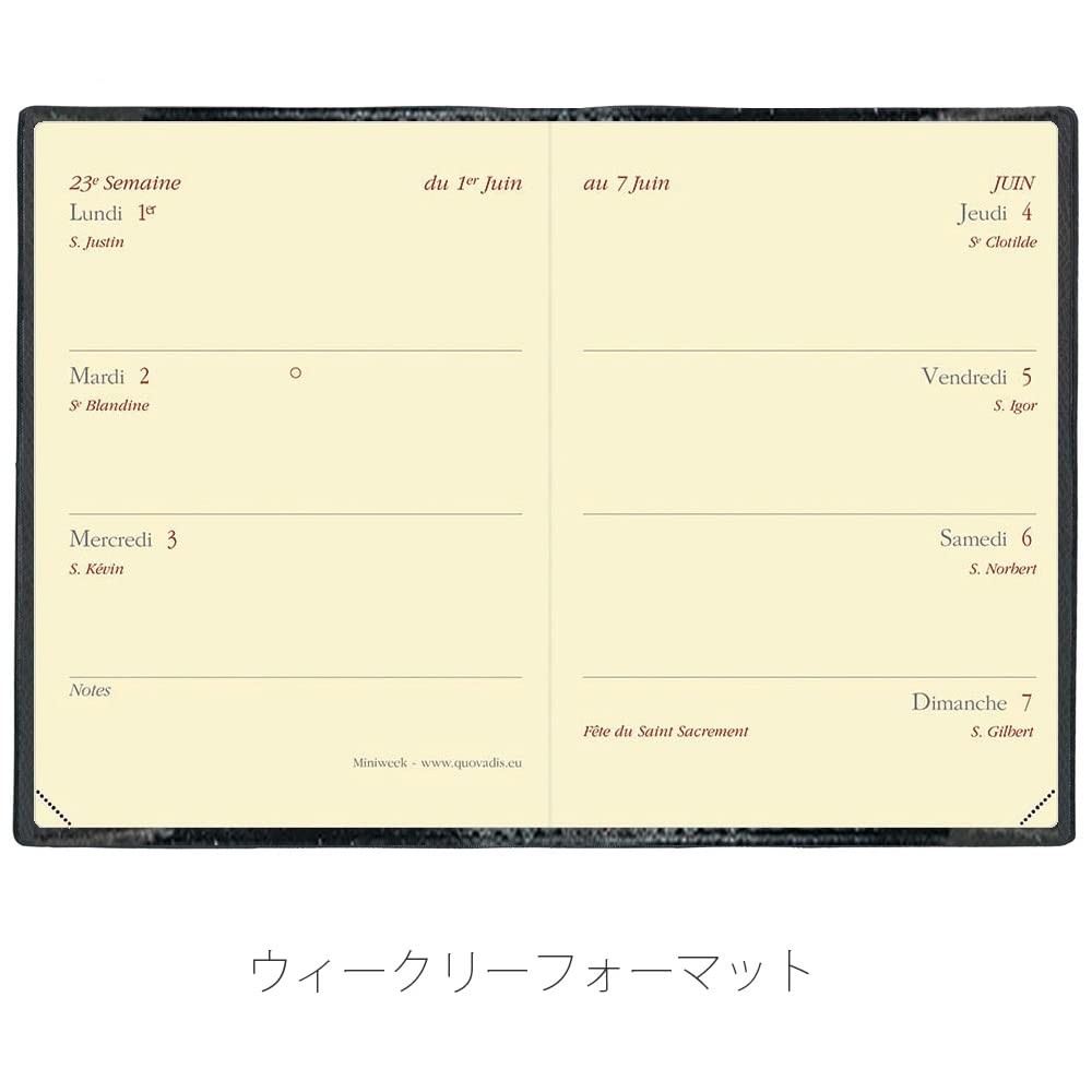 QUOVADIS Diary “Mini Week/Ampara” Black qv04401bk