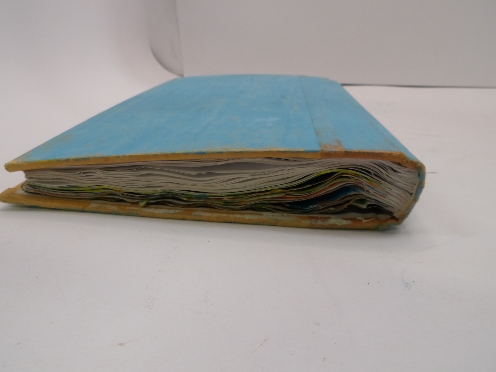 “Kayla’s Journal” A Journal From a Girl Who Was Born in 1990’s Storage Unit Find