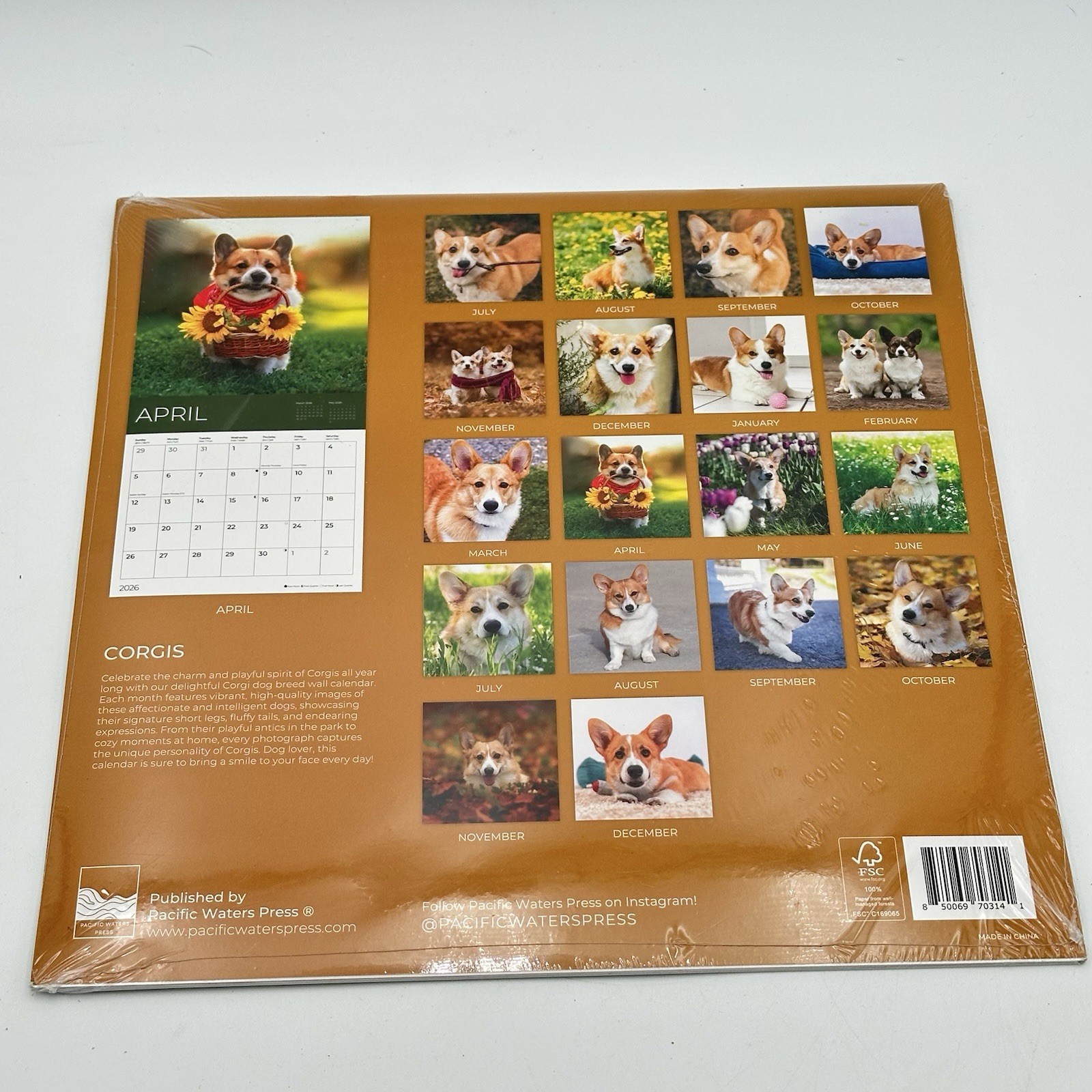 Corgi Wall Calendar 18 Month 2025-2026
