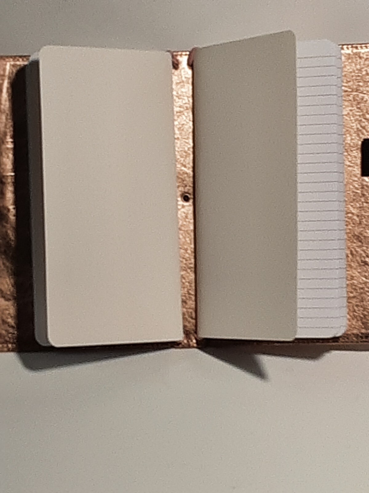 NEW American Crafts Sustainable Journaling 5.5×8.5 2 24 Page Inserts Washable