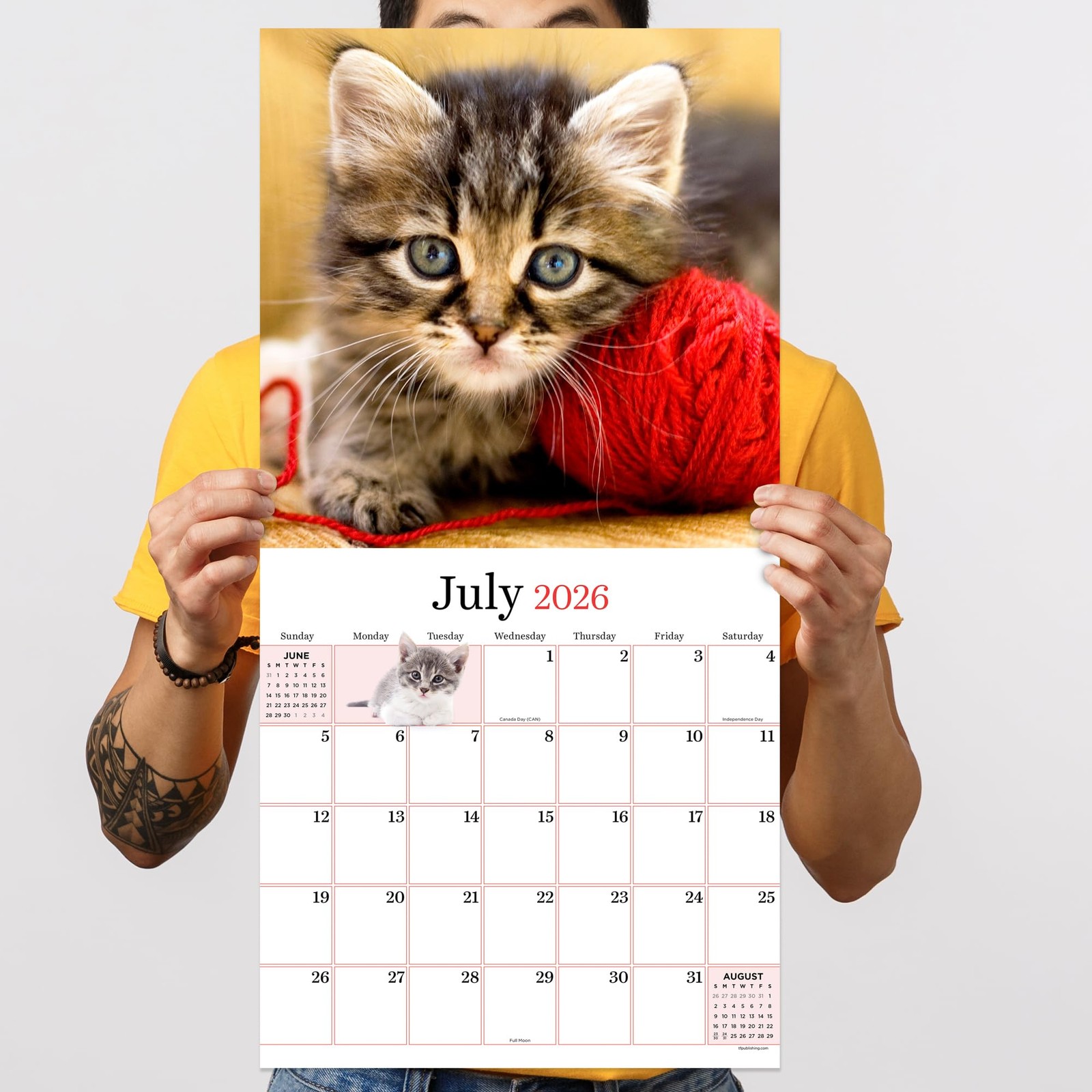 TF Publishing 2026 Kittens Wall Calendar – Large Grids for Appointments Multi