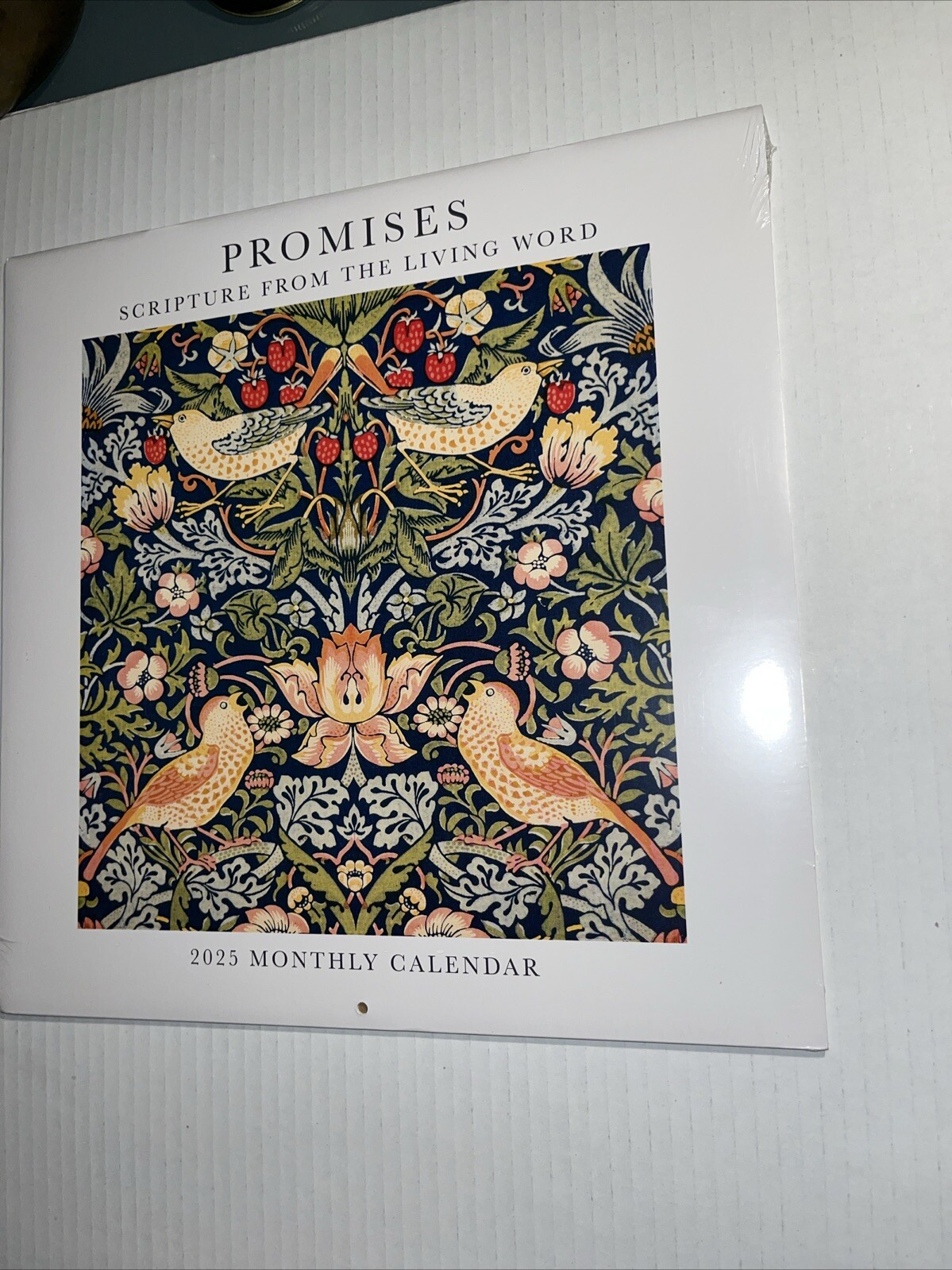 Promises Scripture From The Living Word 2025 Wall Calendar I Marble City Press