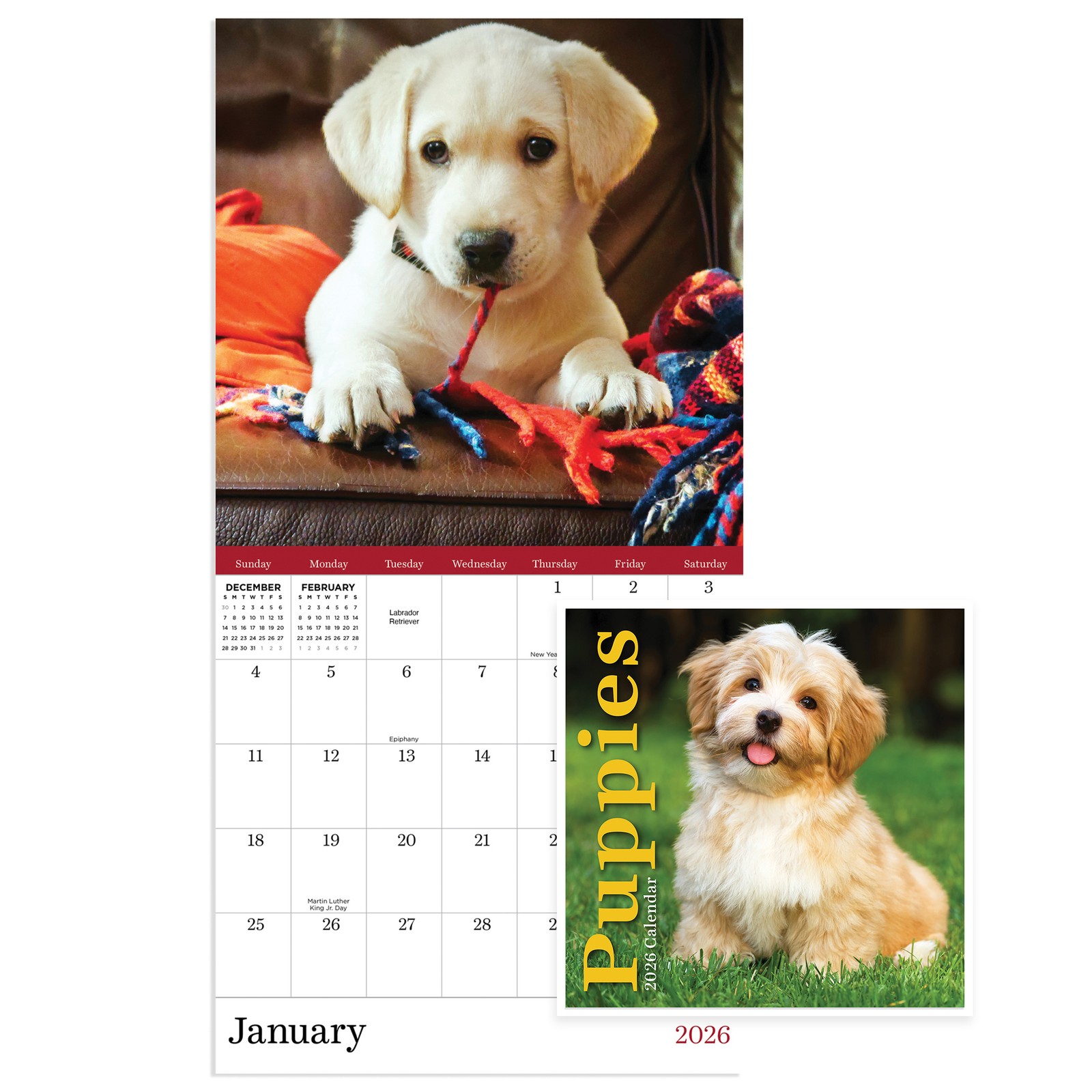 TF Publishing 2026 Puppies Mini Calendar with Monthly Grids for Appointments