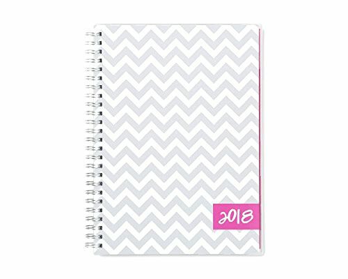 Blue Sky 2018 Weekly & Monthly Planner with Extra Notes Pages, Twin-Wire Binding