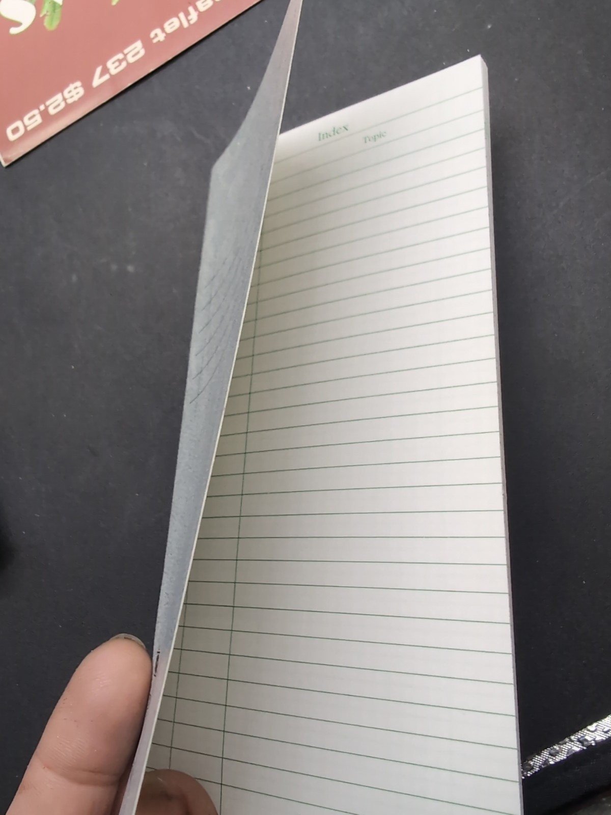 Mint Day-Timer Pocket Organizer + Instructions, Stapled, 3 1/2″ x 6″, #48800