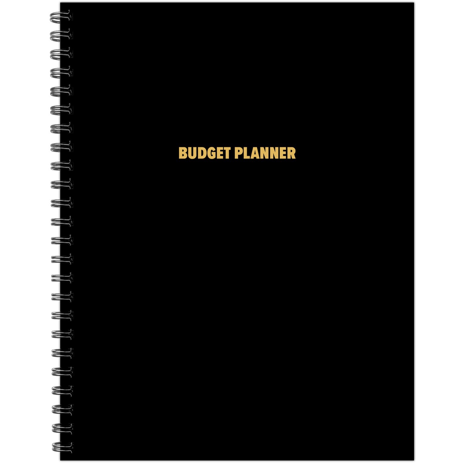 Budget 8.5″ x 11″ Undated Monthly Planner