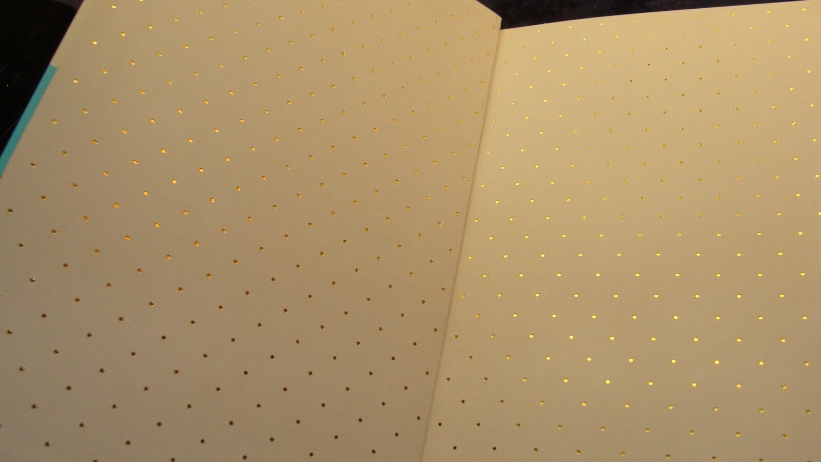 KATE SPADE NOTE BOOK~ 5”x8.25” ~ There Are A Couple Nicks On The Back~Never Used
