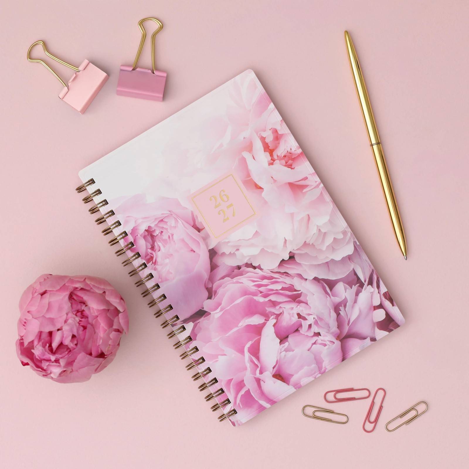 Blue Sky Rachel Parcell 2026-2027 Weekly and Monthly Academic Year Planner Ca…