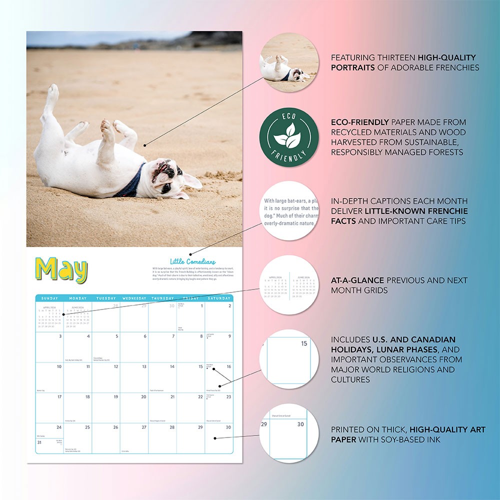 Frenchies Calendar 2026 | 12″ x 24″ 12 Month Calendar | Marble City Press