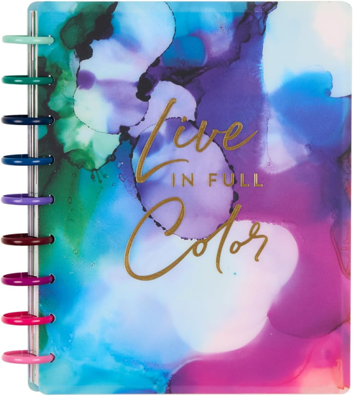 2026 2027 Disc Bound Planner July June Classic Size Horizontal Layout Organizer