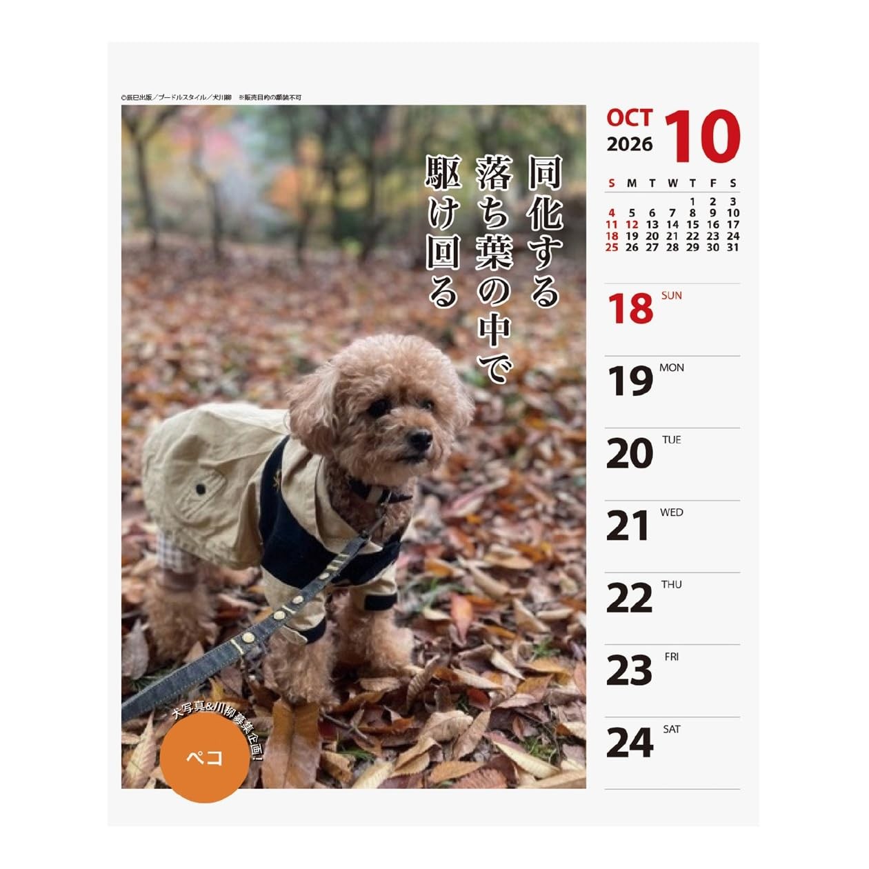 Art Print Japan 2026 Calendar Poodle Senryu Weekly