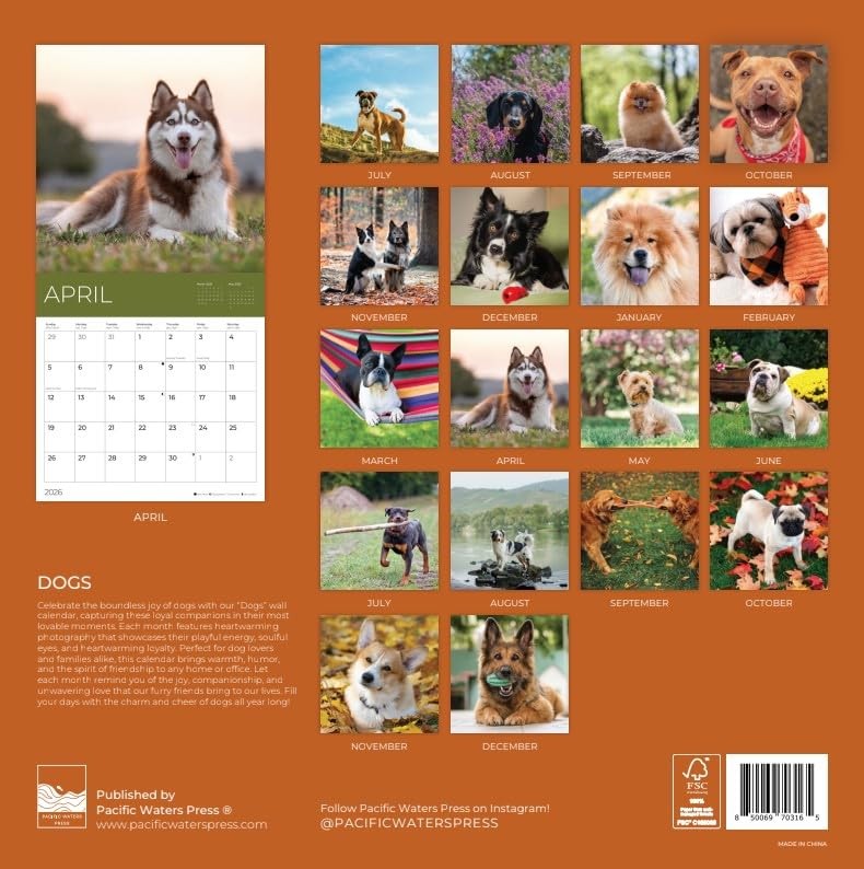 Dogs Wall Calendar 2026 | 12″ x 24″ Open | Giftable Pup 12 x 12,